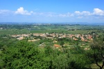 cascianat.jpg