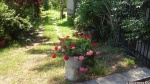 20150530.jpg