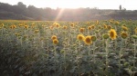 20150708.jpg
