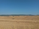 20150711.jpg